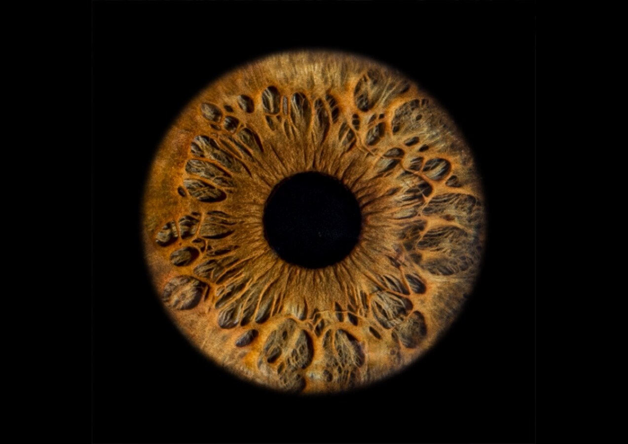 Umjetnička fotografija jedne šarenice