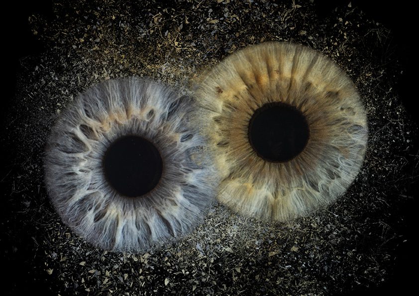 Umjetnička fotografija šarenice — galerija 13