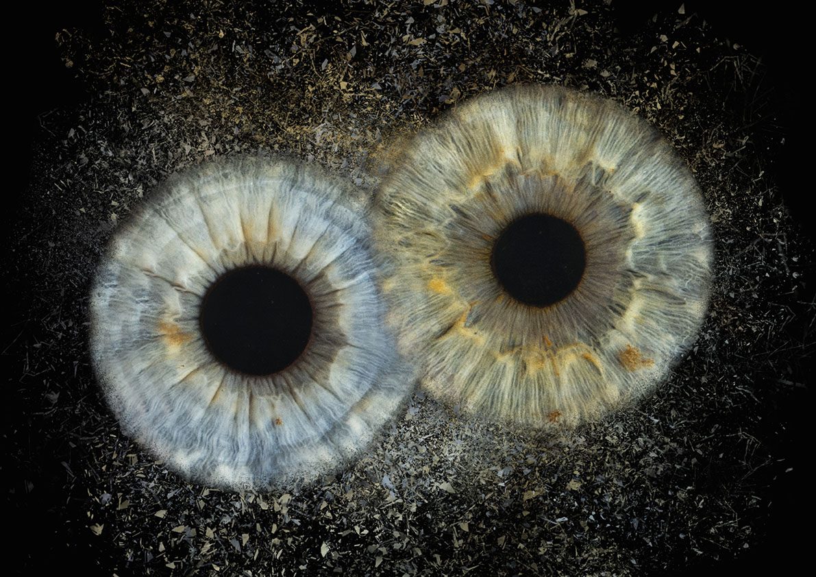 Umjetnička fotografija šarenice — galerija 14